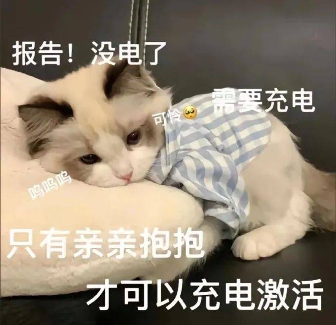 小布说天气 | 下周最高40℃！今年郑州高温日数已达42天→