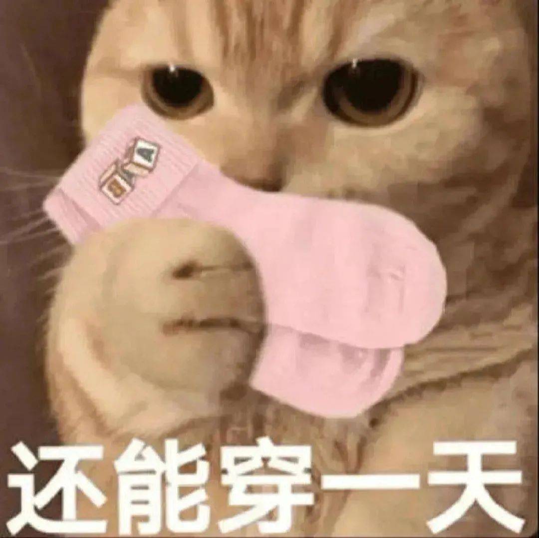 小布说天气 | 下周最高40℃！今年郑州高温日数已达42天→