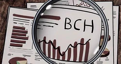 BCH(b超单有这个一般是男孩)