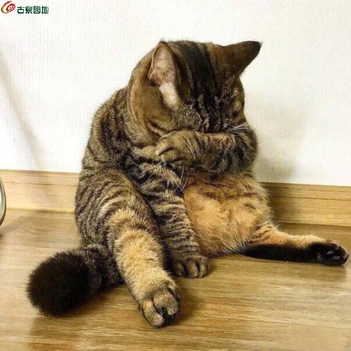 中币丢币(币被偷了怎么找回来吗)