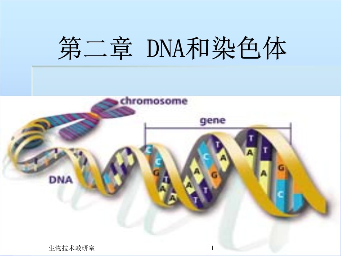 dna中币(DNA币价格)