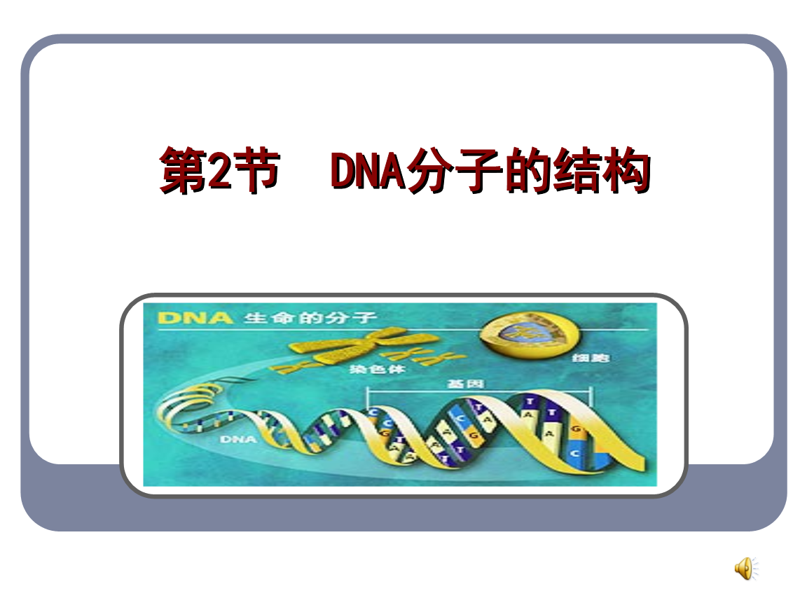 dna中币(DNA中A是什么)