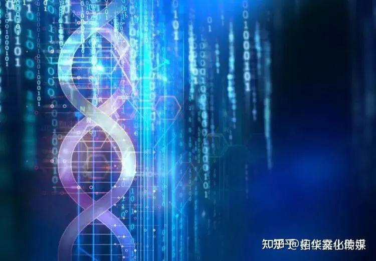 dna中币(DNA中特有的)