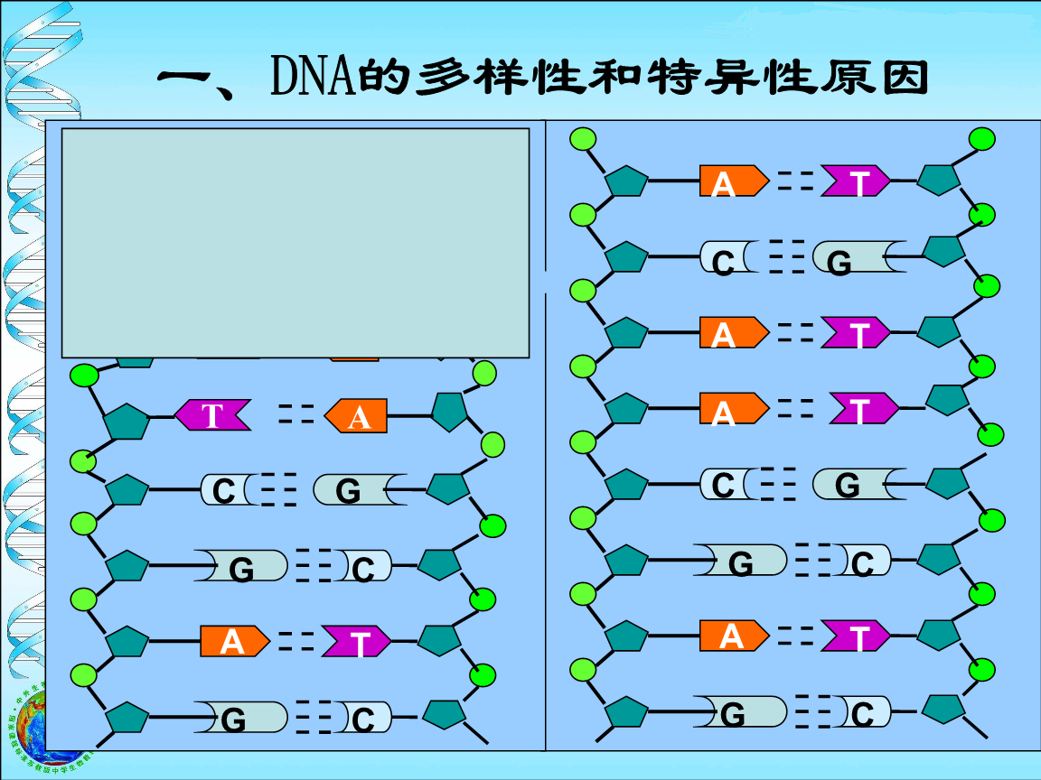 dna中币(dna芯片的原理)