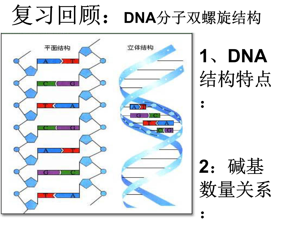 dna中币(dna芯片的原理)