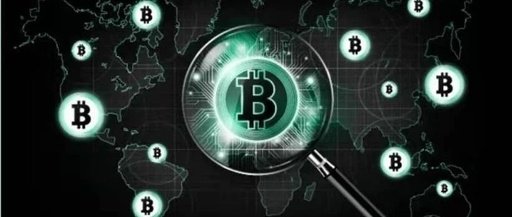 BCH(b超单3个数据看男女)