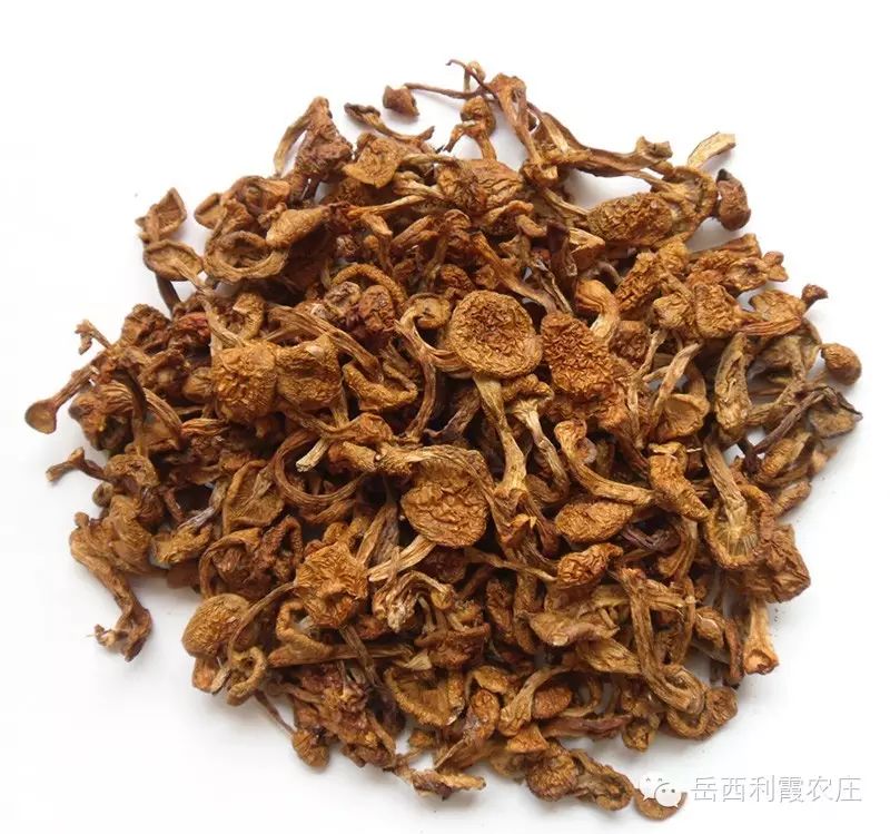 中睿新农币(中睿新农怎么样)