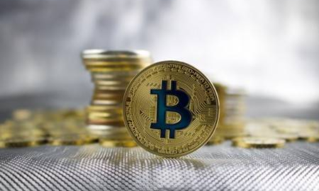 中本聪多少个比特币(中本聪手上有多少比特币)